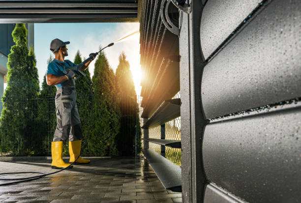 Best Vinyl Siding Pressure Washing in Mount Dora, FL
